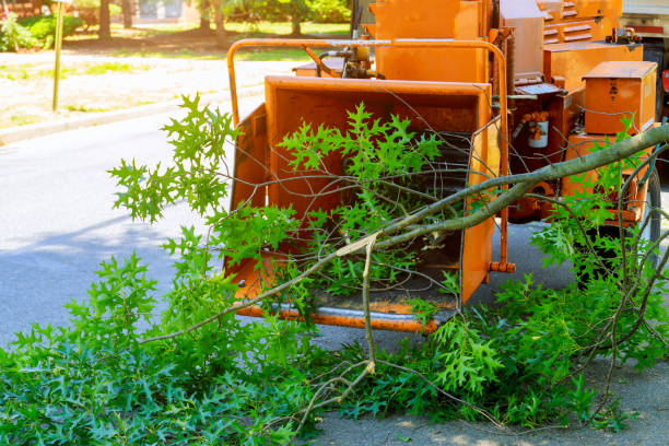 Mulching Services in Waldwick, NJ