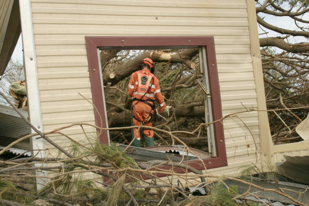 How Our Tree Care Process Works  in  Waldwick, NJ